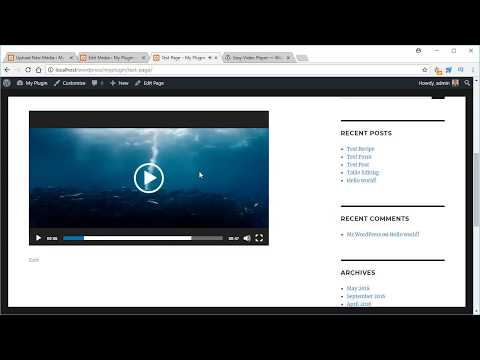 Easy Video Player Plugin for WordPress