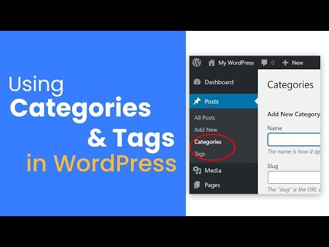 How To Correctly use Categories & Tags in WordPress